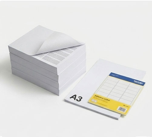 Carta e Supporti Stampa